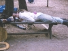 ted-sleeping-fools-1999
