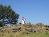 westwar0006